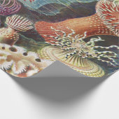Zee Anemones, Actiniae Seeanemonen Ernst Haeckel Cadeaupapier (Hoek)