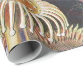 Zee Anemones, Actiniae Seeanemonen Ernst Haeckel Cadeaupapier (Rol Hoek)