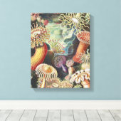 Zee Anemones, Actiniae Seeanemonen Ernst Haeckel Canvas Afdruk (Insitu (Houten vloer))