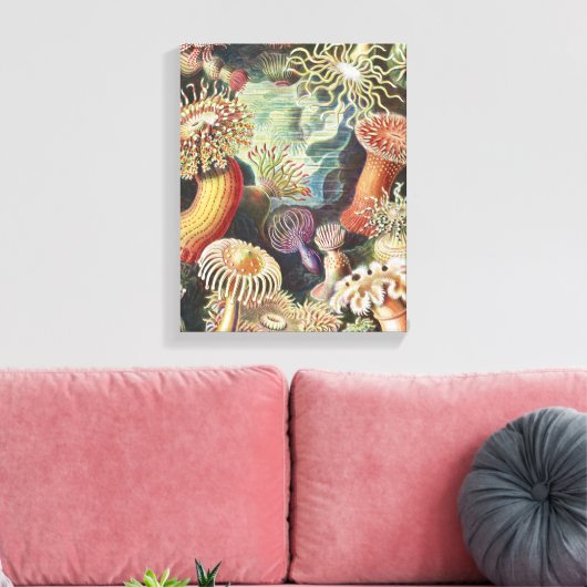 Zee Anemones, Actiniae Seeanemonen Ernst Haeckel Canvas Afdruk (Insitu (Woonkamer))