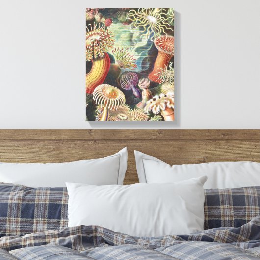 Zee Anemones, Actiniae Seeanemonen Ernst Haeckel Canvas Afdruk (Insitu (Slaapkamer))