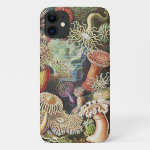Zee Anemones, Actiniae Seeanemonen Ernst Haeckel Case-Mate iPhone Case
