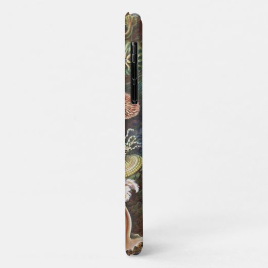 Zee Anemones, Actiniae Seeanemonen Ernst Haeckel Case-Mate iPhone Case (Achterkant/links)