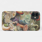 Zee Anemones, Actiniae Seeanemonen Ernst Haeckel Case-Mate iPhone Case (Achterkant (horizontaal))