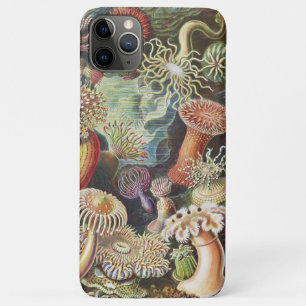 Zee Anemones, Actiniae Seeanemonen Ernst Haeckel Case-Mate iPhone Case