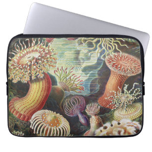 Zee Anemones, Actiniae Seeanemonen Ernst Haeckel Laptop Sleeve