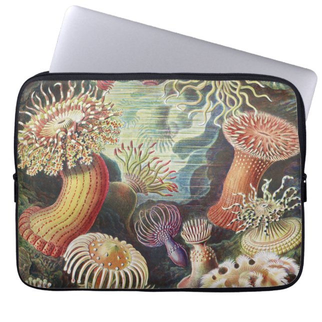 Zee Anemones, Actiniae Seeanemonen Ernst Haeckel Laptop Sleeve (Voorkant)