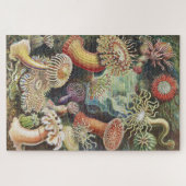 Zee Anemones, Actiniae Seeanemonen Ernst Haeckel Legpuzzel (Horizontaal)