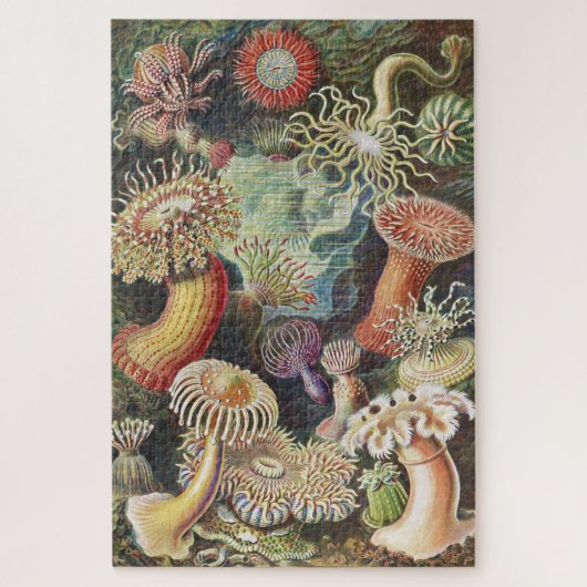 Zee Anemones, Actiniae Seeanemonen Ernst Haeckel Legpuzzel (Verticaal)