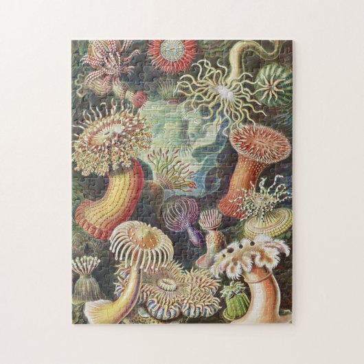 Zee Anemones, Actiniae Seeanemonen Ernst Haeckel Legpuzzel (Verticaal)