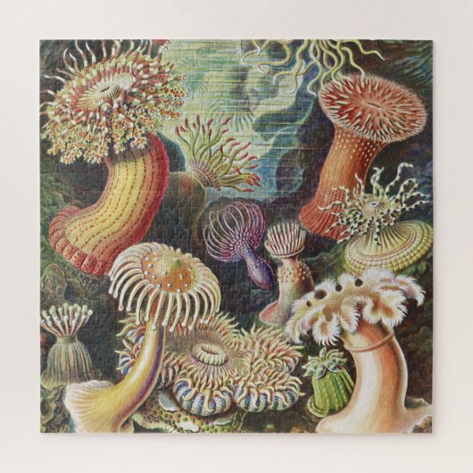 Zee Anemones, Actiniae Seeanemonen Ernst Haeckel Legpuzzel (Verticaal)