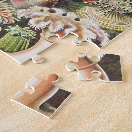 Zee Anemones, Actiniae Seeanemonen Ernst Haeckel Legpuzzel (Zijkant)