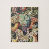 Zee Anemones, Actiniae Seeanemonen Ernst Haeckel Legpuzzel (Verticaal)