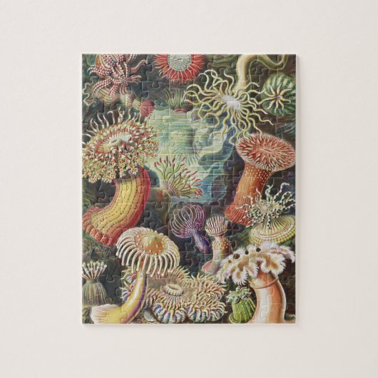 Zee Anemones, Actiniae Seeanemonen Ernst Haeckel Legpuzzel (Verticaal)