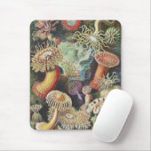 Zee Anemones, Actiniae Seeanemonen Ernst Haeckel Muismat (Met muis)