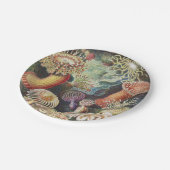 Zee Anemones, Actiniae Seeanemonen Ernst Haeckel Papieren Bordje (Gekanteld)