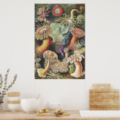 Zee Anemones, Actiniae Seeanemonen Ernst Haeckel Poster (Keuken)