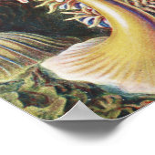 Zee Anemones, Actiniae Seeanemonen Ernst Haeckel Poster (Hoek)