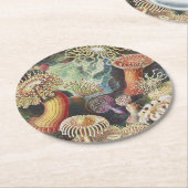 Zee Anemones, Actiniae Seeanemonen Ernst Haeckel Ronde Kartonnen Onderzetter (Gebogen)