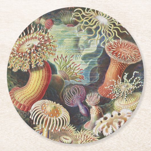 Zee Anemones, Actiniae Seeanemonen Ernst Haeckel Ronde Kartonnen Onderzetter (Voorkant)
