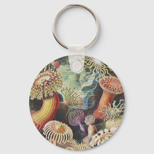 Zee Anemones, Actiniae Seeanemonen Ernst Haeckel Sleutelhanger (Voorkant)