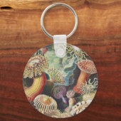 Zee Anemones, Actiniae Seeanemonen Ernst Haeckel Sleutelhanger (Voorkant)