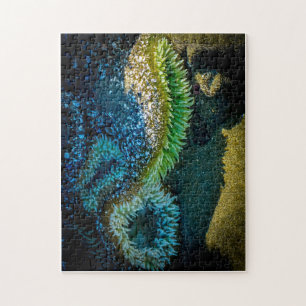 Zee anemones bij Cox Bay, Tofino, BC (Canada) Legpuzzel