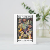 Zee Anemones door Ernst Haeckel Briefkaart (Staand voorkant)