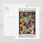 Zee Anemones door Ernst Haeckel Briefkaart (Voorkant / Achterkant)