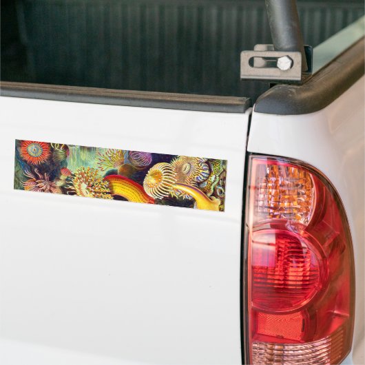 Zee Anemones Ernst Haeckel Fine Art Bumpersticker (Op Truck)