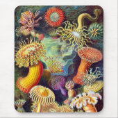 Zee Anemones Ernst Haeckel Fine Art Muismat (Voorkant)