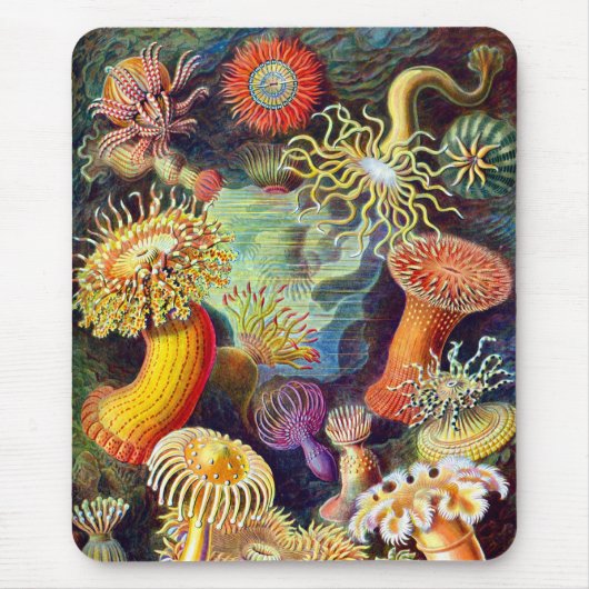 Zee Anemones Ernst Haeckel Fine Art Muismat (Voorkant)