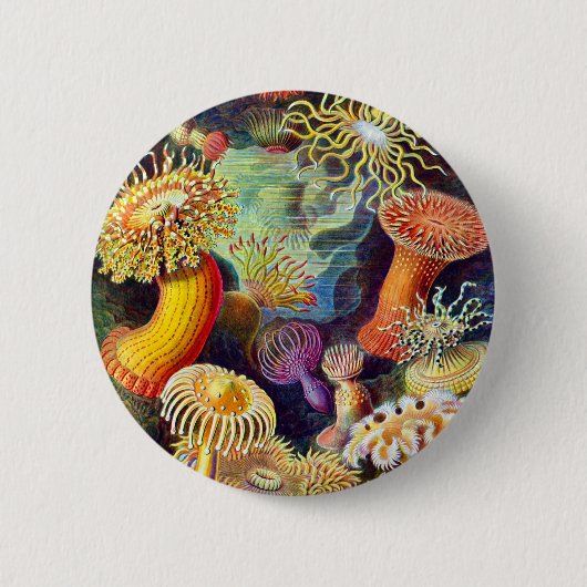 Zee Anemones Ernst Haeckel Fine Art Ronde Button 5,7 Cm (Voorkant)