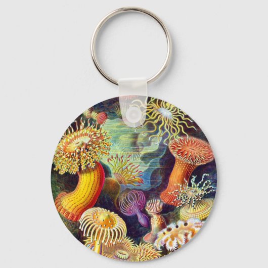 Zee Anemones Ernst Haeckel Fine Art Sleutelhanger (Voorkant)