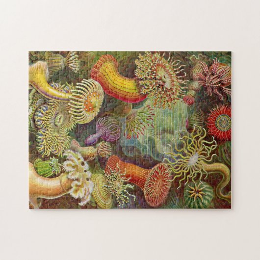 Zee Anemones  Illustratie Legpuzzel (Horizontaal)