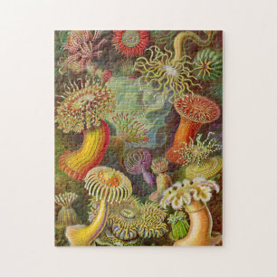 Zee Anemones  Illustratie Legpuzzel