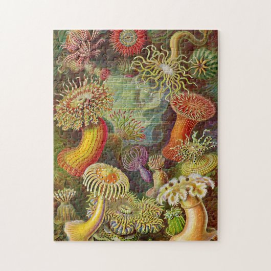 Zee Anemones  Illustratie Legpuzzel (Verticaal)