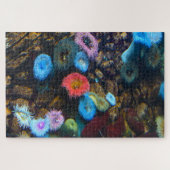 Zee Anemones. Legpuzzel (Horizontaal)