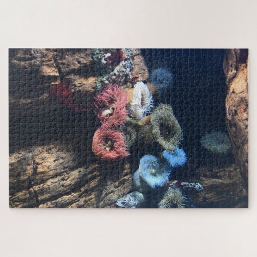 Zee Anemones. Legpuzzel (Horizontaal)
