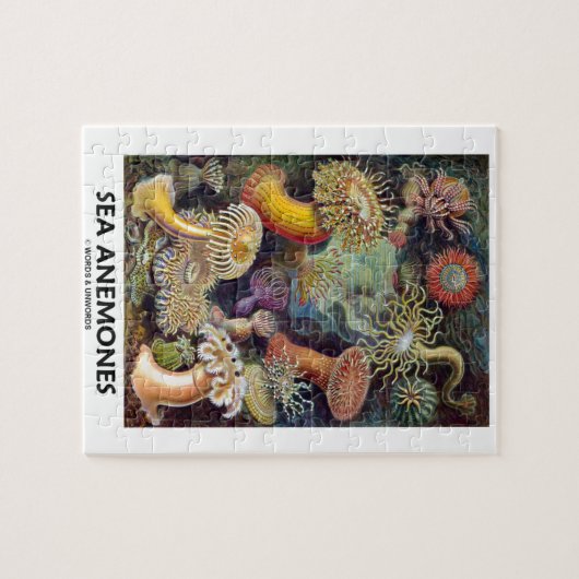 Zee Anemones Legpuzzel (Horizontaal)