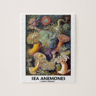 Zee Anemones Legpuzzel