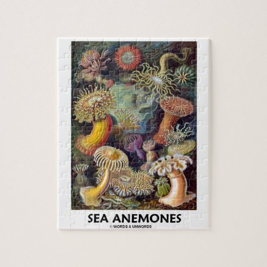 Zee Anemones Legpuzzel (Verticaal)