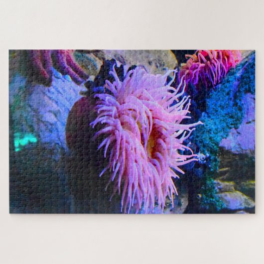 Zee Anemones. Legpuzzel (Horizontaal)