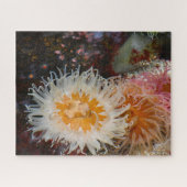 Zee Anemones. Legpuzzel (Horizontaal)