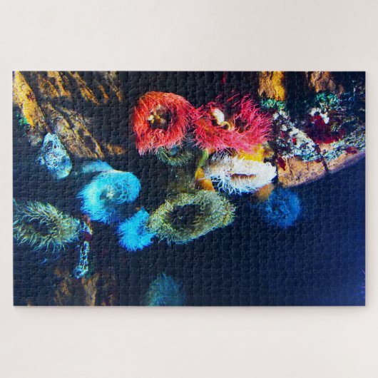 Zee Anemones. Legpuzzel (Horizontaal)