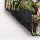  Zee Anemones, Marine Life Ocean Animals Muismat (Hoek)