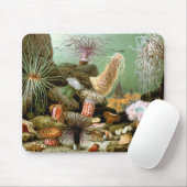  Zee Anemones, Marine Life Ocean Animals Muismat (Met muis)