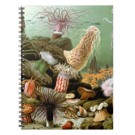 Zee Anemones, Marine Life Ocean Animals Notitieboek (Voorkant)