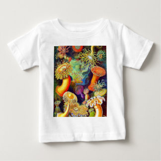 Zee Anemones van Ernst Haeckel
