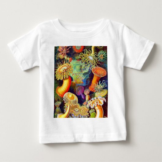 Zee Anemones van Ernst Haeckel (Voorkant)